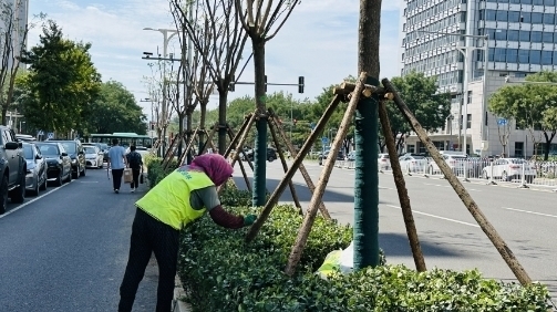 北京昌平|织补新绿景观提升,全龄友好幸福倍增 北京昌平|织补新绿景观提升,全龄友好幸福倍增