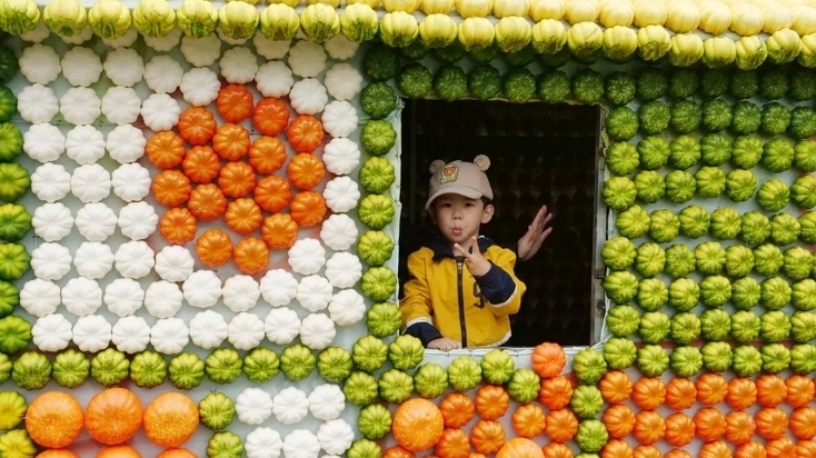 南瓜彩绘、运南瓜比赛……顺义首届南瓜艺术节来啦 南瓜彩绘、运南瓜比赛……顺义首届南瓜艺术节来啦