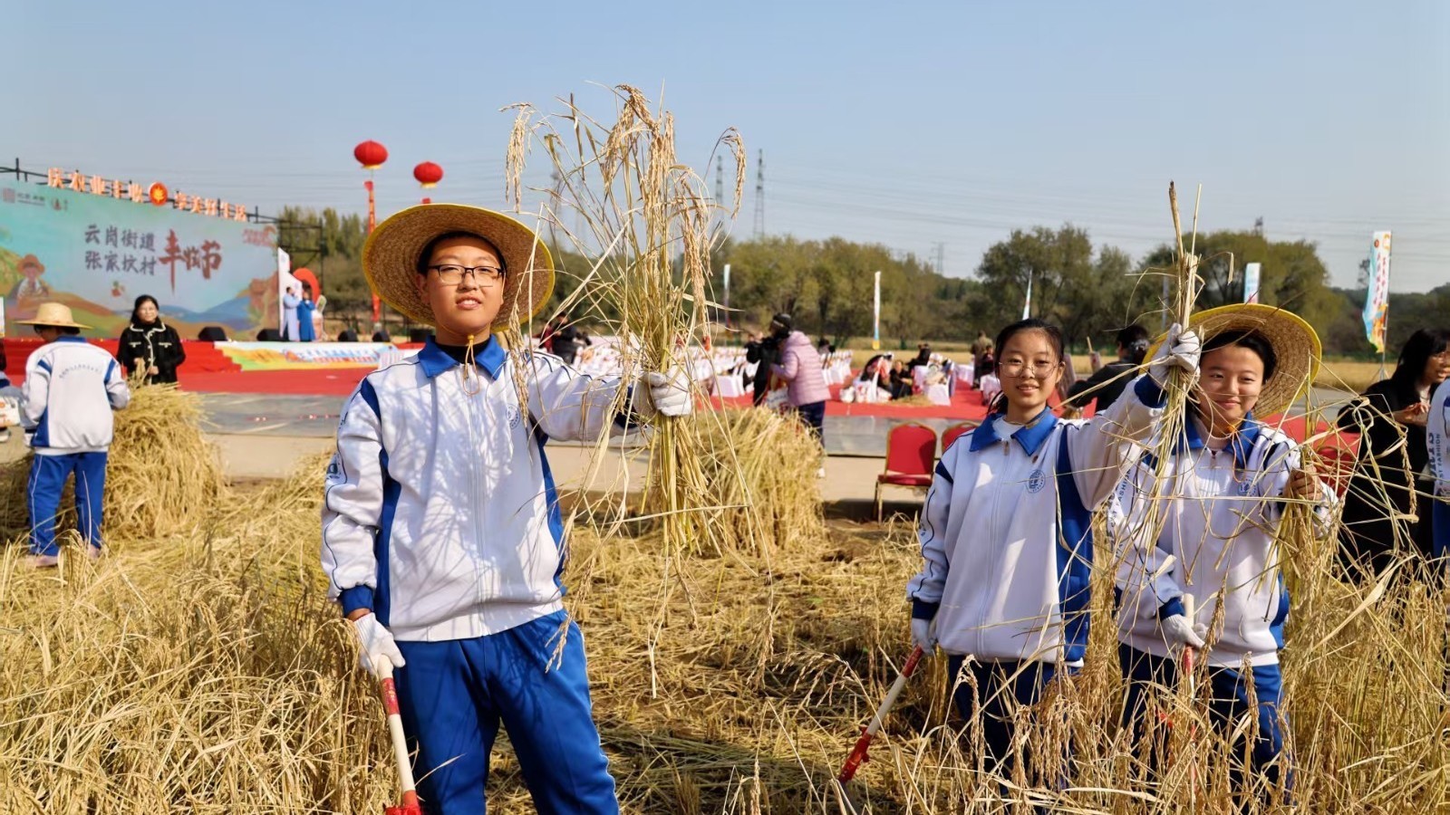 云岗街道张家坟村第二届丰收节盛大开幕
