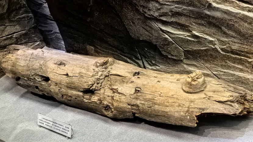 【遇见文物】重温抗美援朝文物背后的故事 【遇见文物】重温抗美援朝文物背后的故事