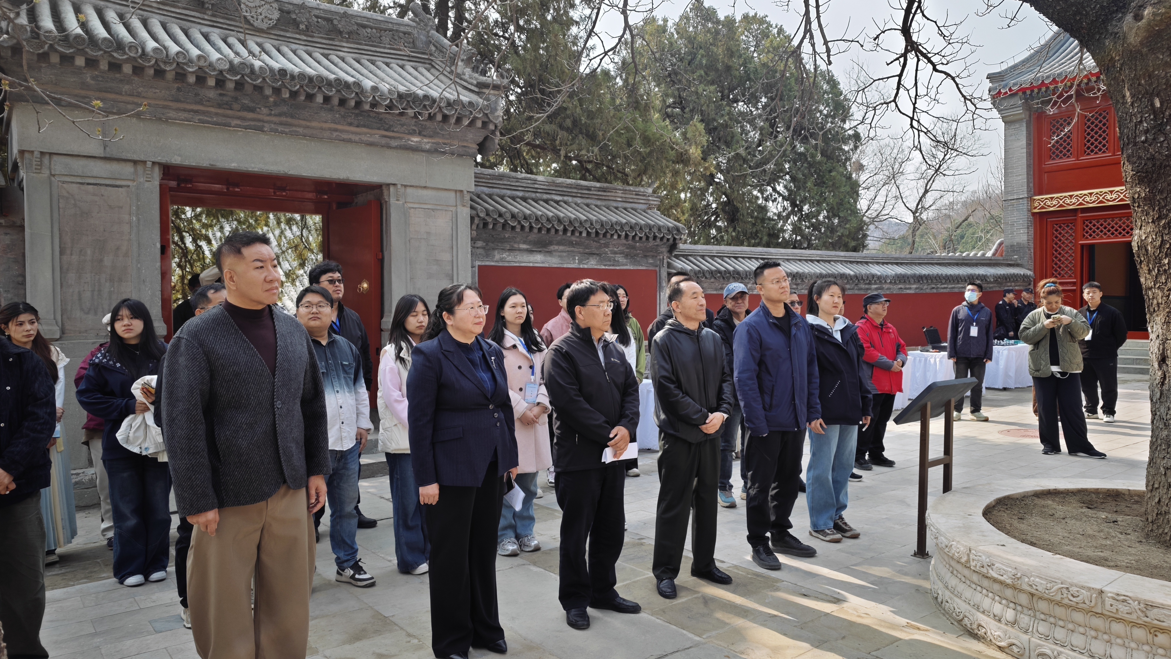 石景山区启动古树公园建设 创新推动古树保护与文化传承