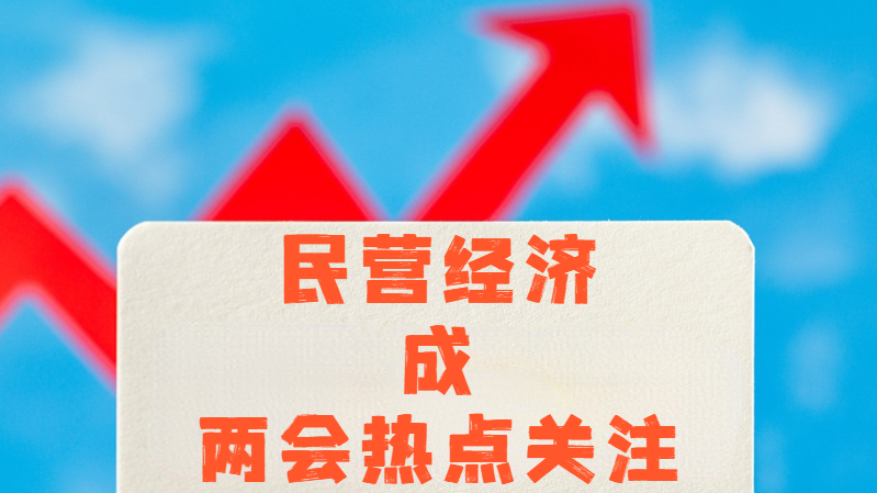 民营经济成两会热点关注 民营经济成两会热点关注