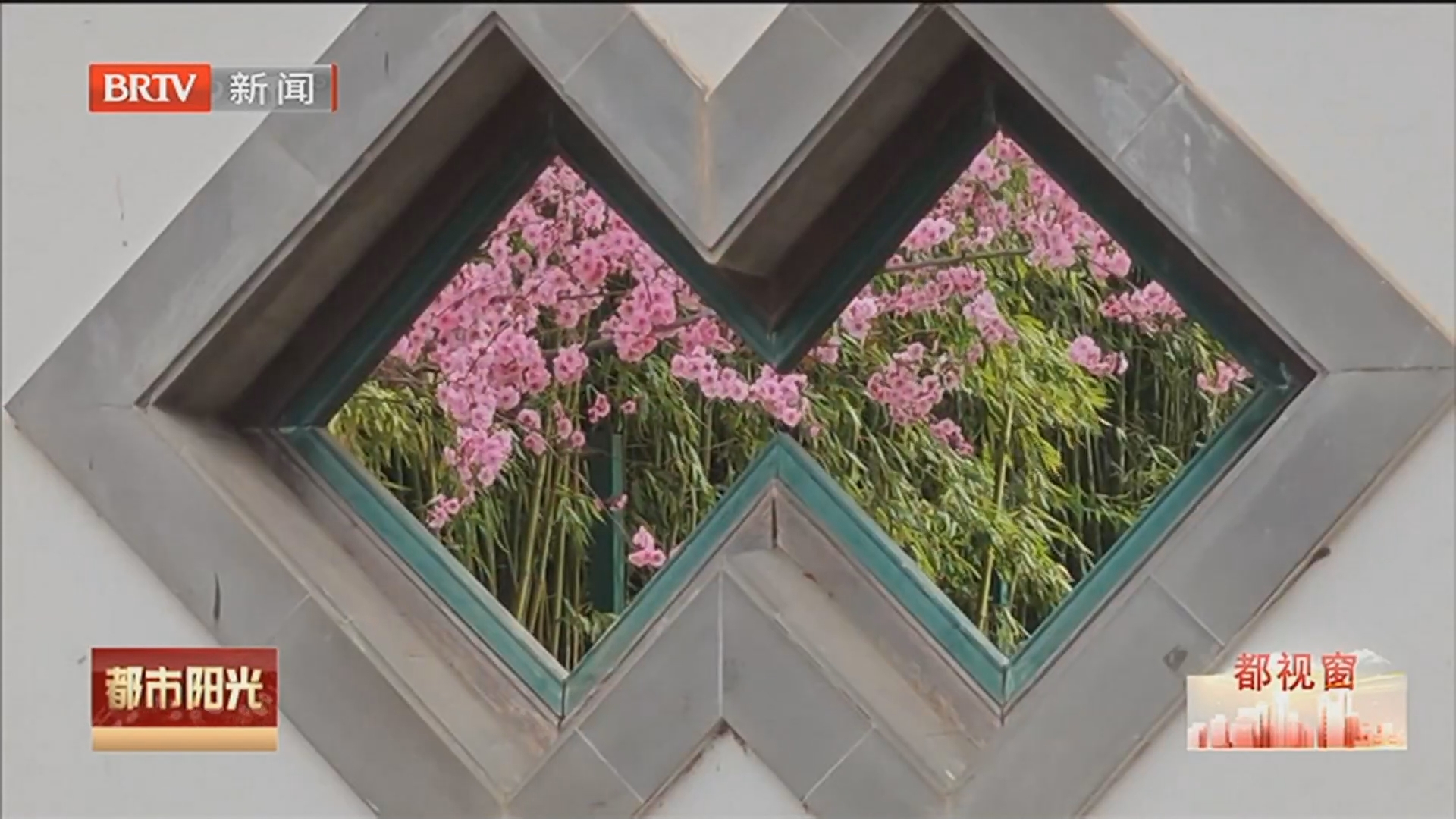 《都市阳光》20260327 《都市阳光》20260327