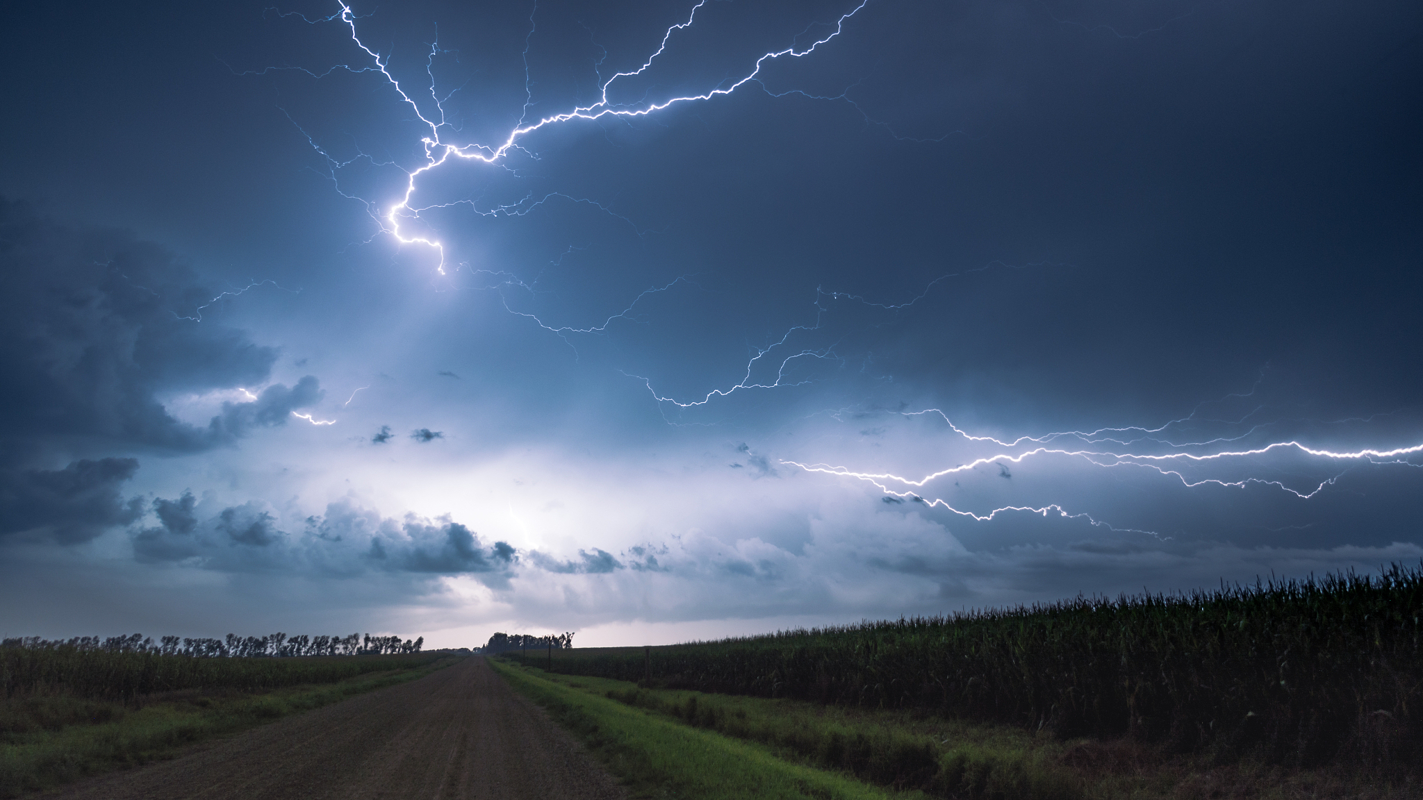 今日科普:户外遇到雷电天气了,要远离大树跑到空旷的地方? 今日科普:户外遇到雷电天气了,要远离大树跑到空旷的地方?