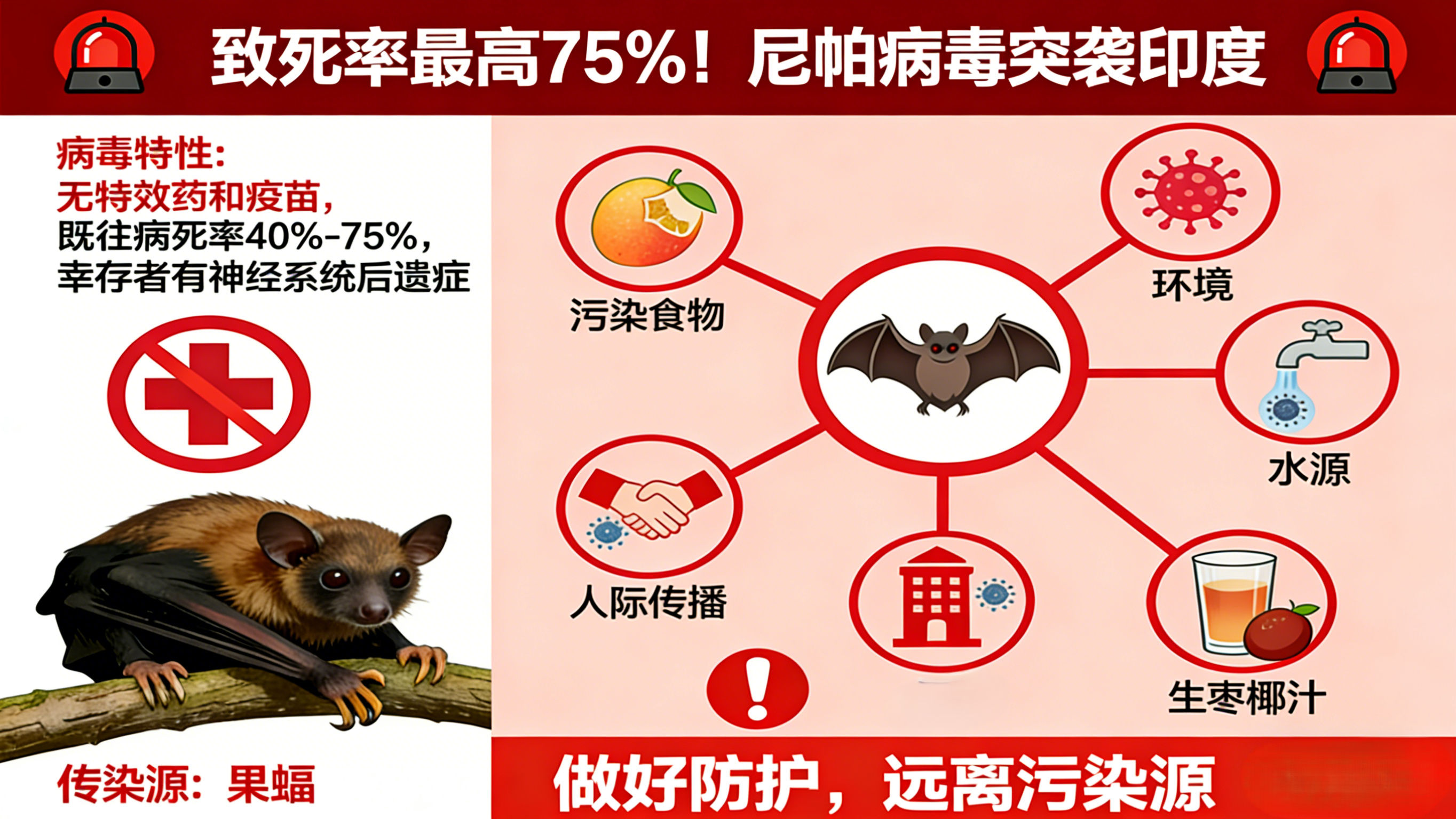 致死率最高 75%!尼帕病毒突袭印度 致死率最高 75%!尼帕病毒突袭印度