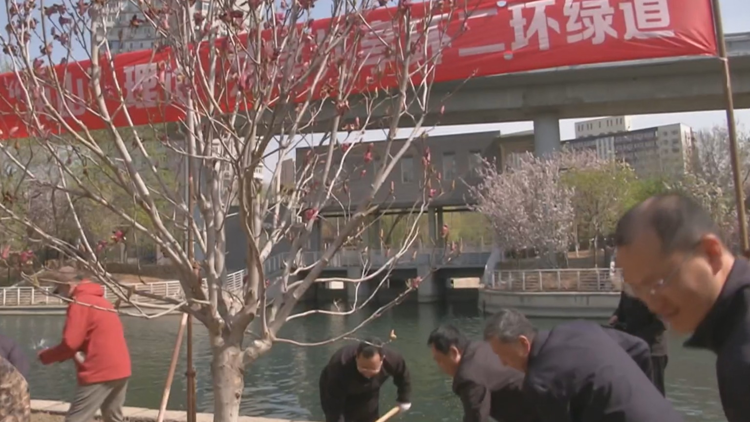 为二环添新绿 东城区十万人植树尽责 为二环添新绿 东城区十万人植树尽责