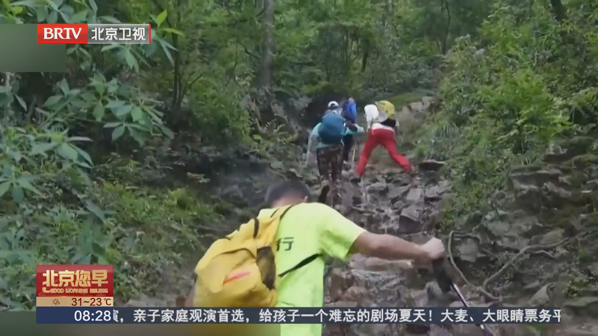 推文揽客无证接团 发生事故 组织者担责