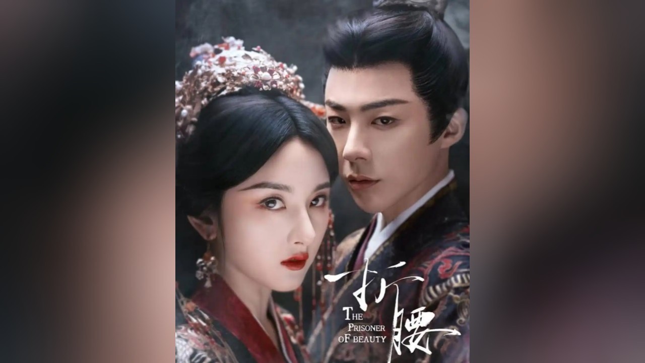 《折腰》全网播放超14亿阅读量破80亿 入围金树林绽放之夜