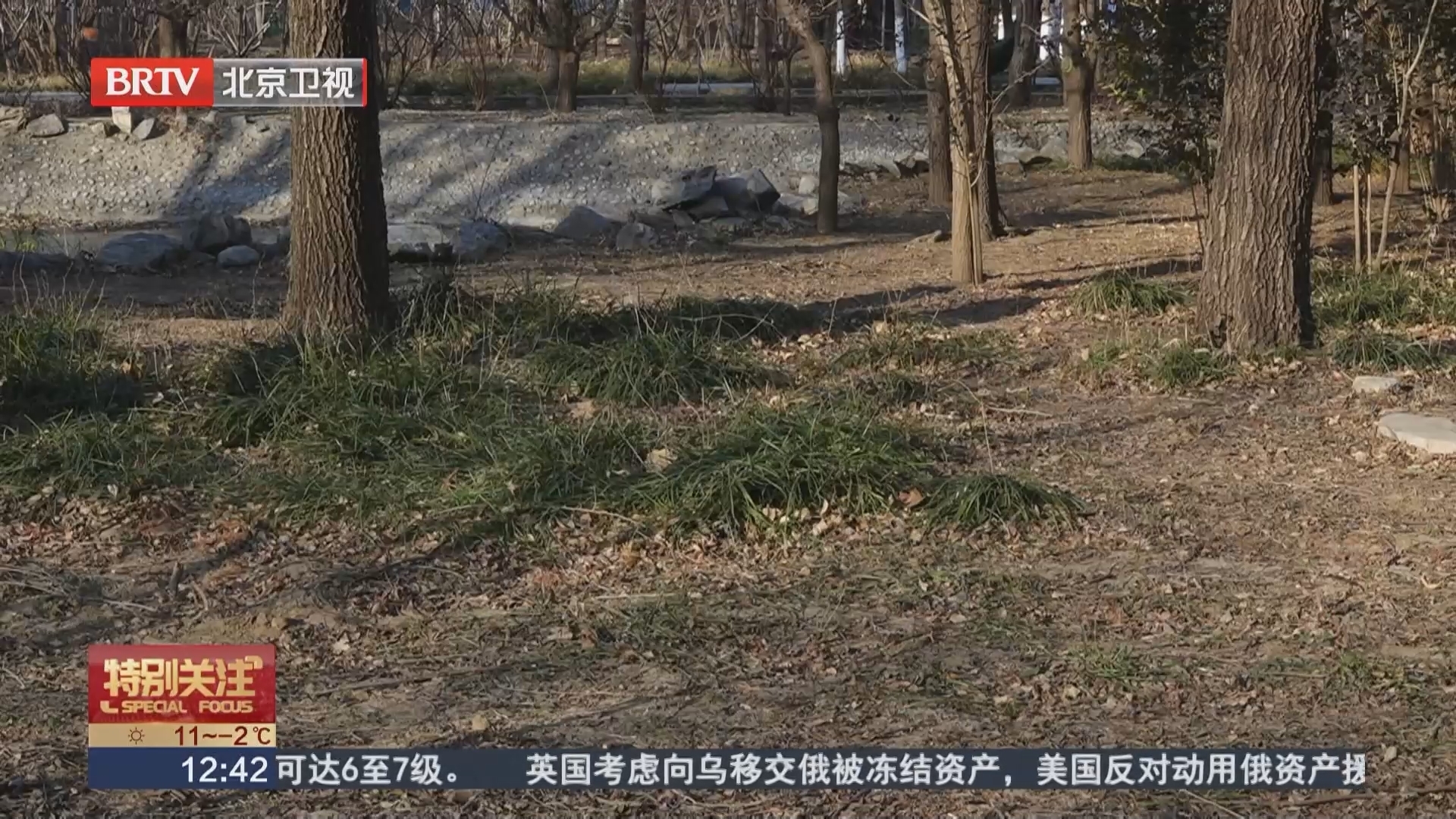 第12个“世界土壤日”:“十五五”期间 北京将大面积改善贫瘠土壤 第12个“世界土壤日”:“十五五”期间 北京将大面积改善贫瘠土壤
