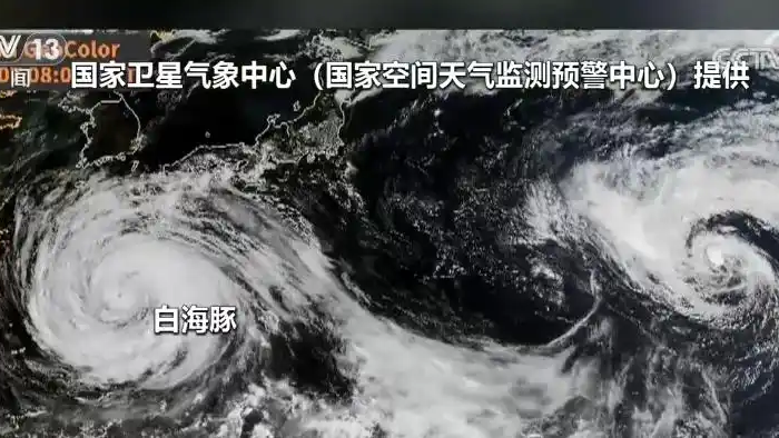 特稿｜“白海豚”不定，北京笃定