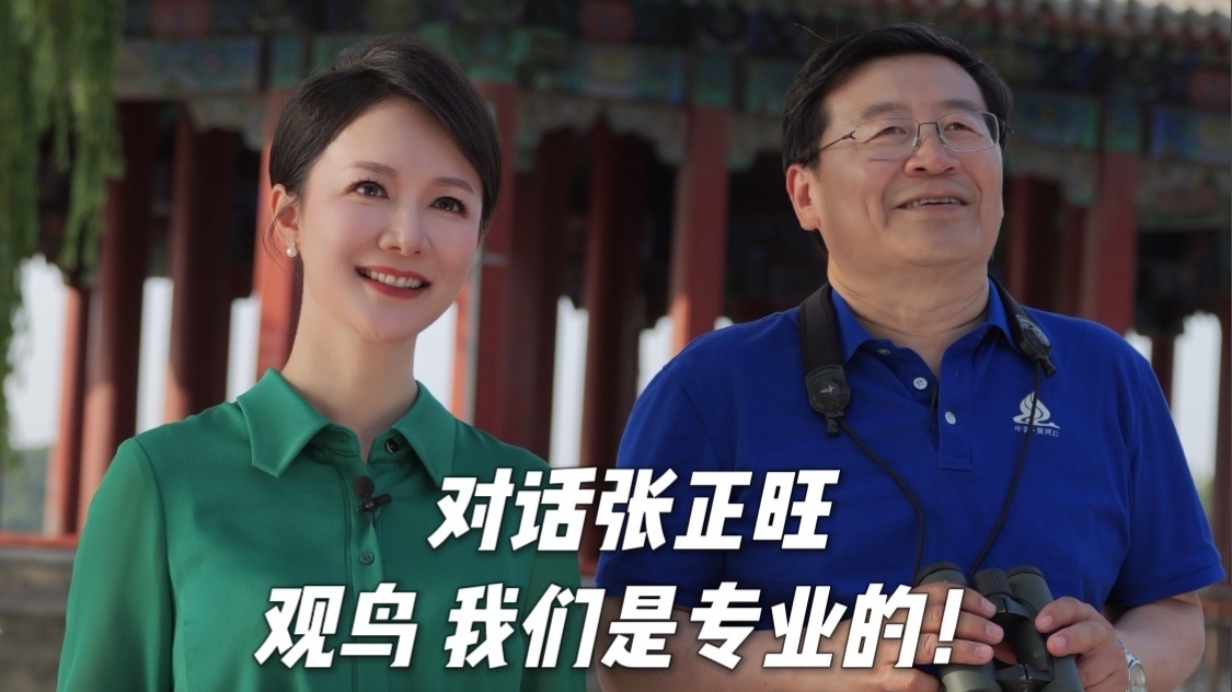 观鸟 我们是专业的！——对话张正旺