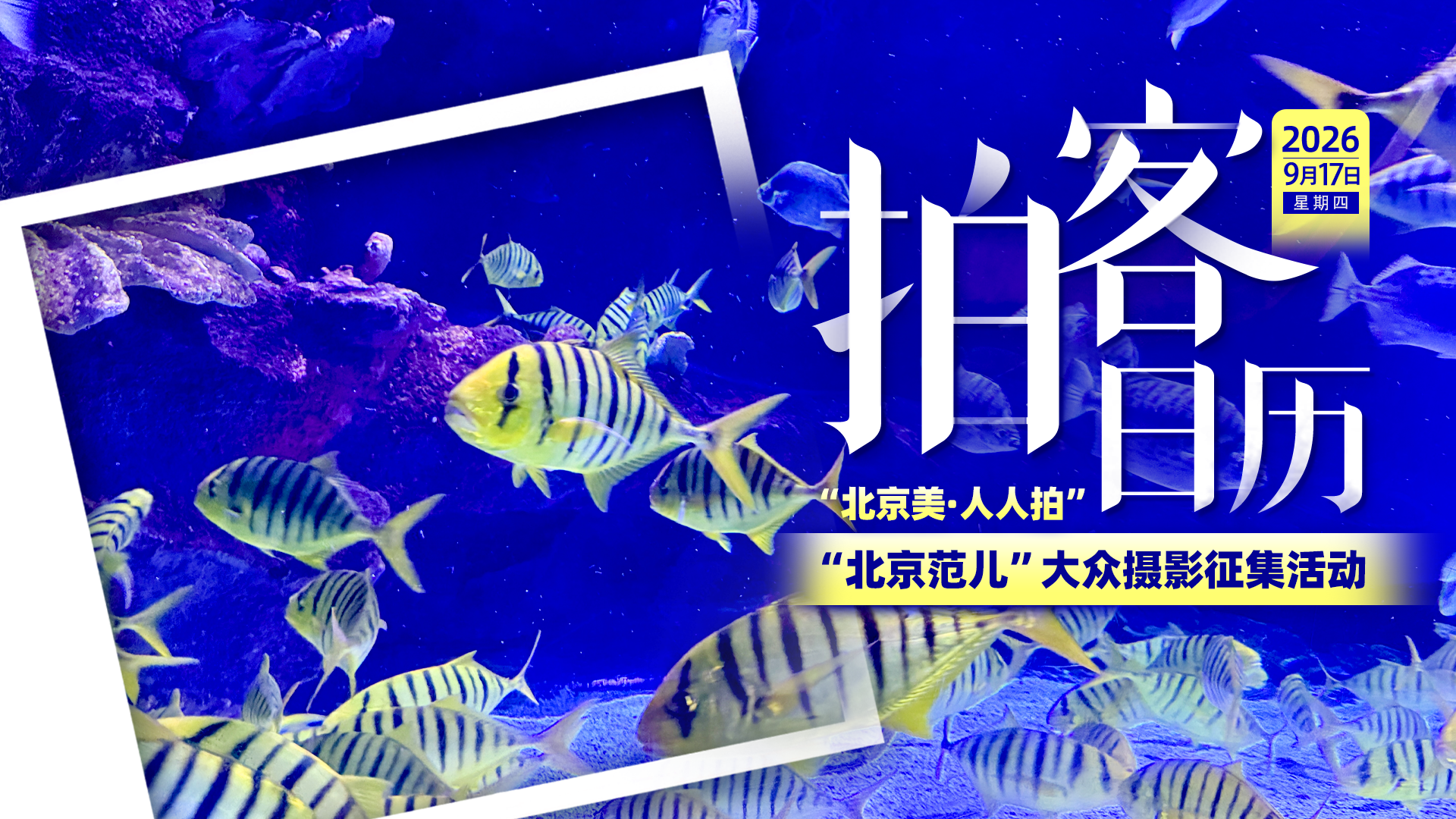 拍客日历|9月17日 捕捉京城秋日光影 拍客日历|9月17日 捕捉京城秋日光影