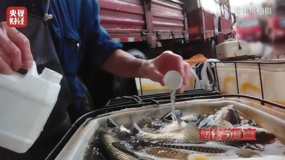 央视曝光麻醉活鱼用的丁香酚是什么,对人体健康危害大吗? 央视曝光麻醉活鱼用的丁香酚是什么,对人体健康危害大吗?