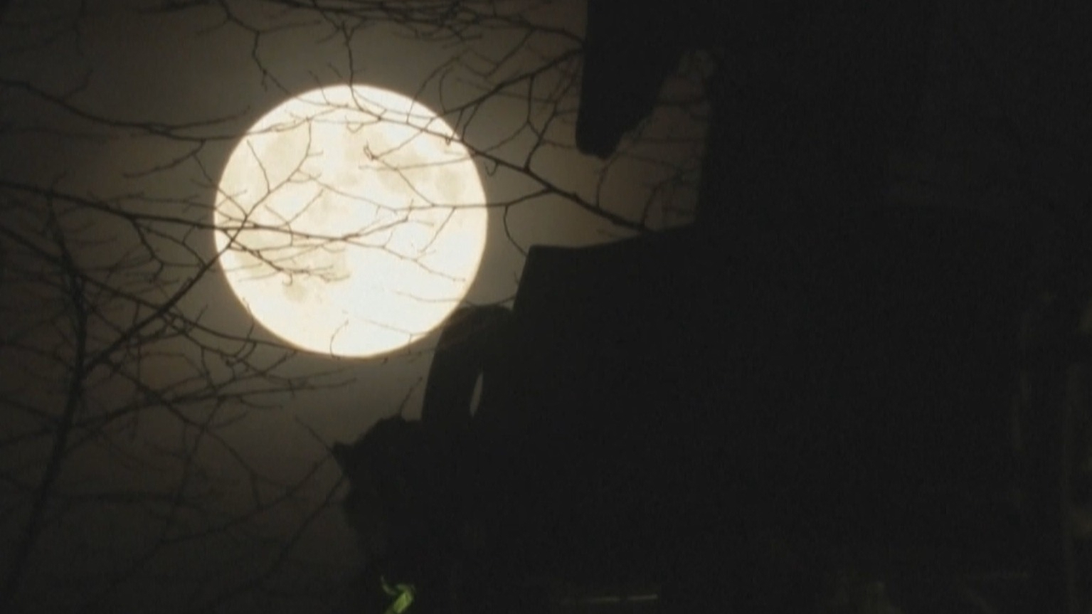 今年最后一次邂逅“超级月亮”