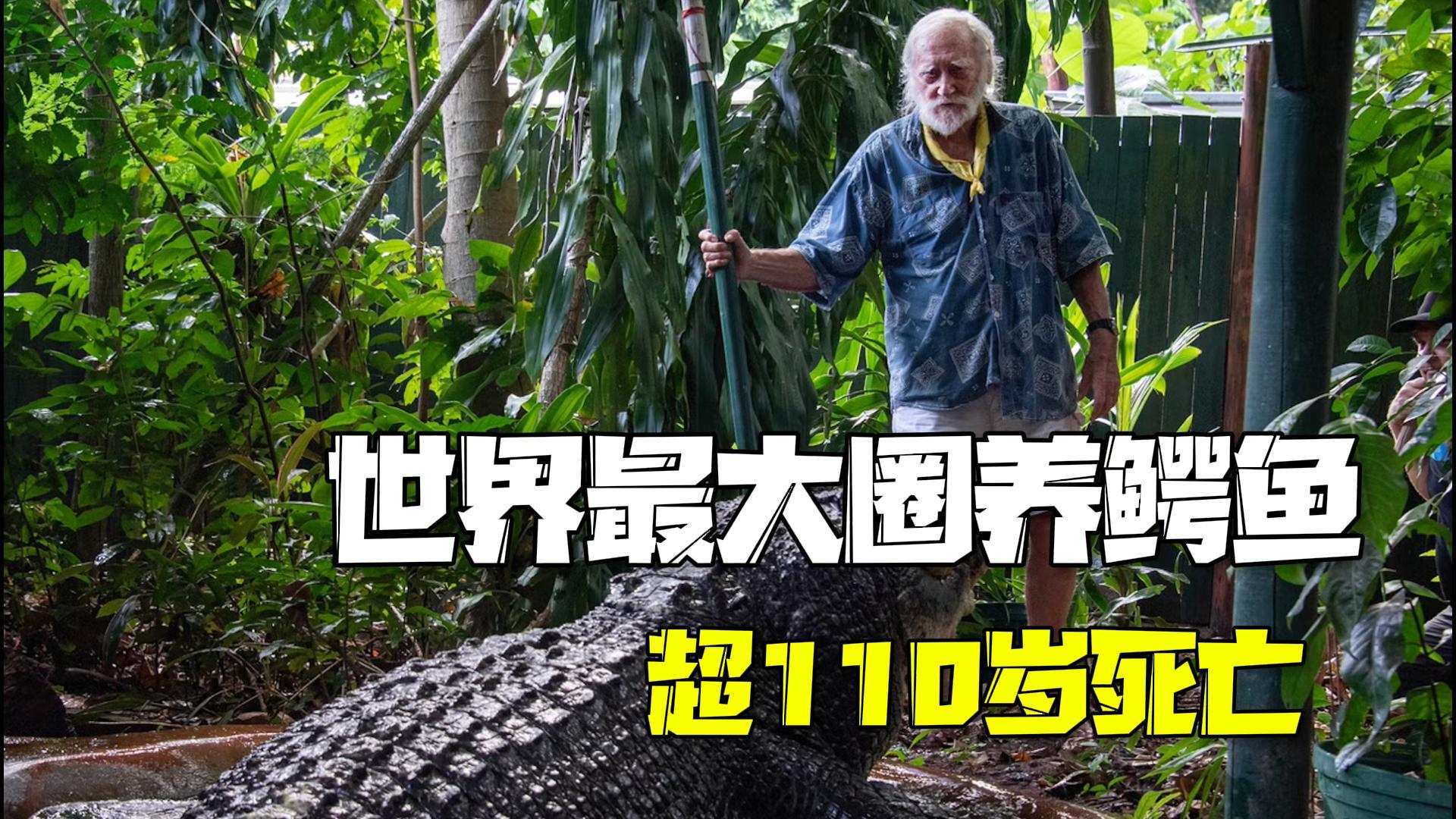 110岁,体重超一吨!全球最大圈养食人鳄死亡 110岁,体重超一吨!全球最大圈养食人鳄死亡