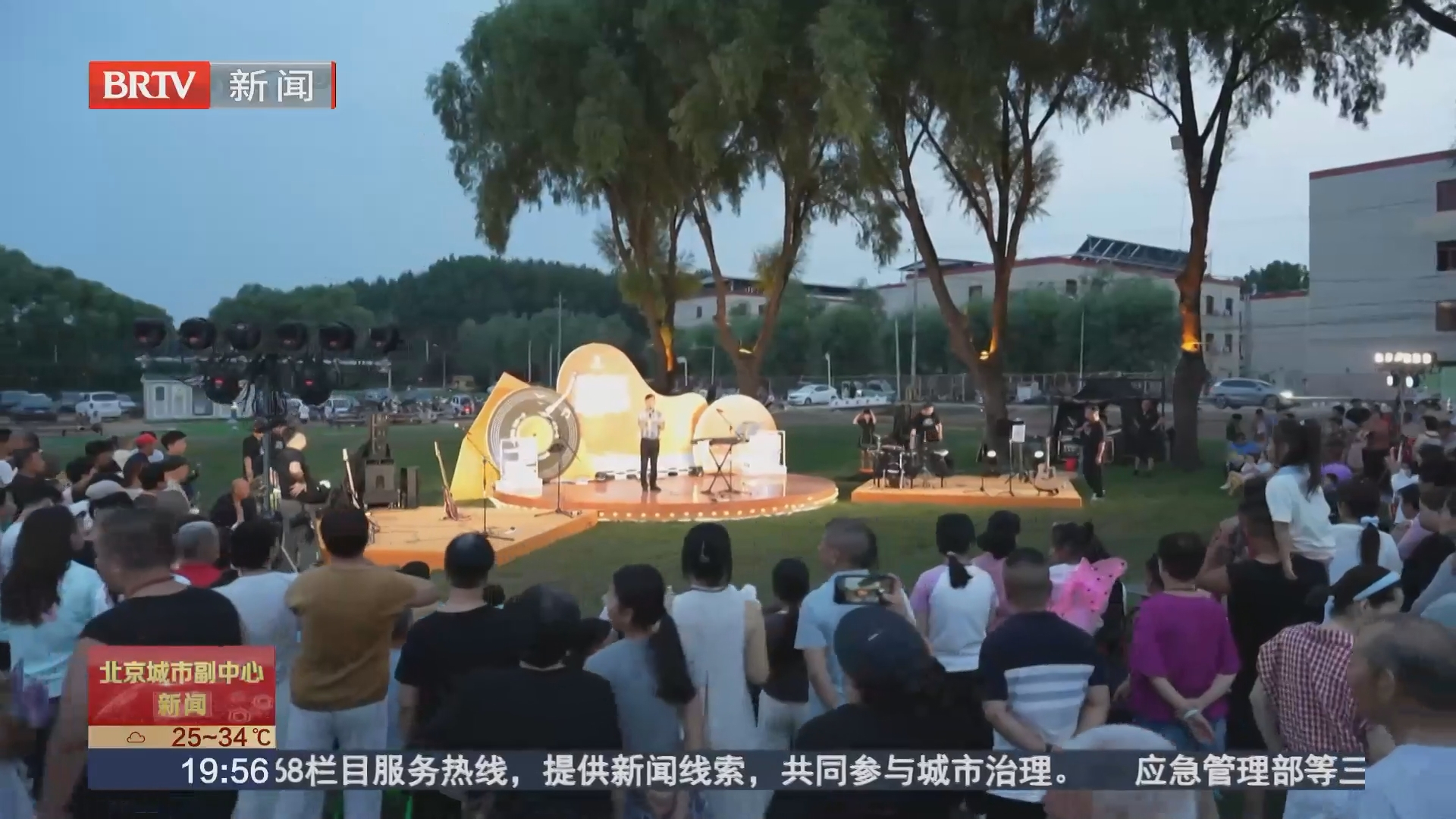波斯菊花海畔奏响消夏乐章