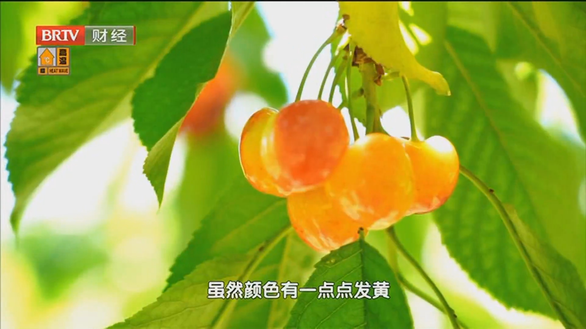 《首都经济报道》20250605城市更新计划补助超过200亿元 北京入围！