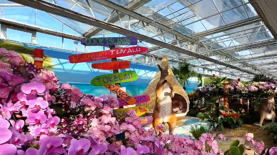 2026北京家庭园艺嘉年华终于开幕啦 2026北京家庭园艺嘉年华终于开幕啦