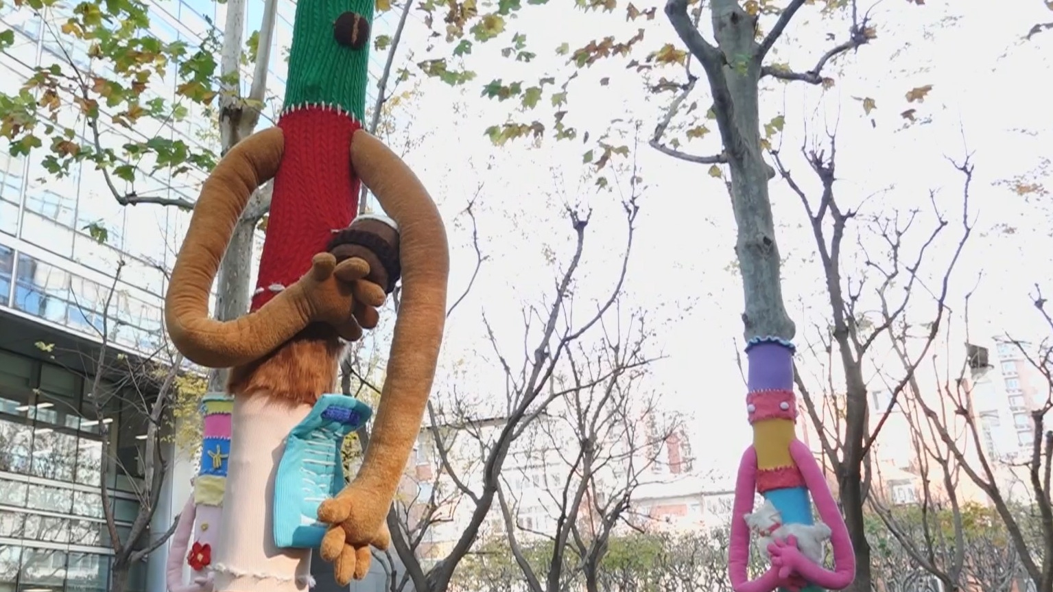 大树“穿毛衣” 为城市增添艺术气息 大树“穿毛衣” 为城市增添艺术气息