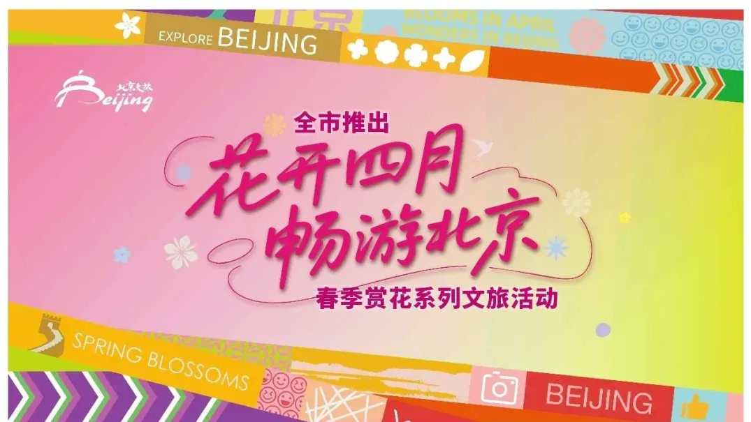 美爆！ “北京牡丹”首次齐聚！顶流赏花地来了！还能夜赏