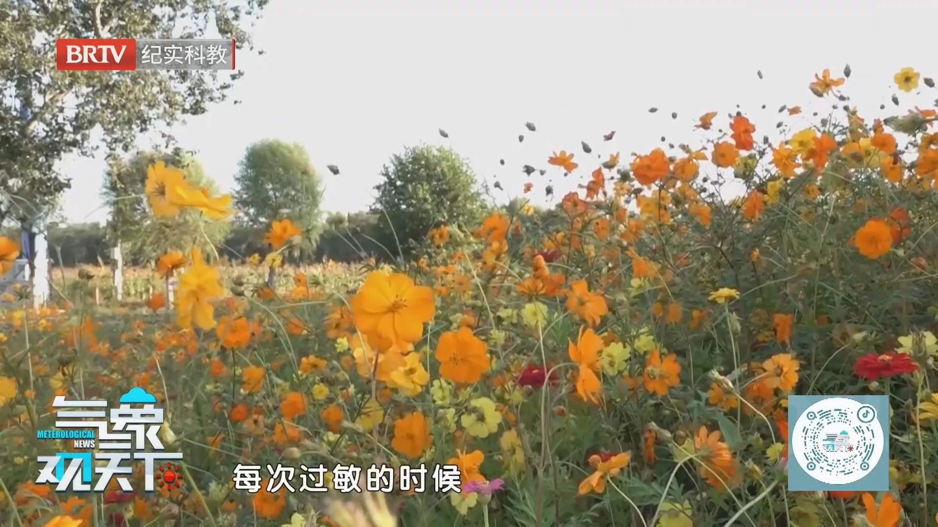 《气象观天下》20261009 《气象观天下》20261009