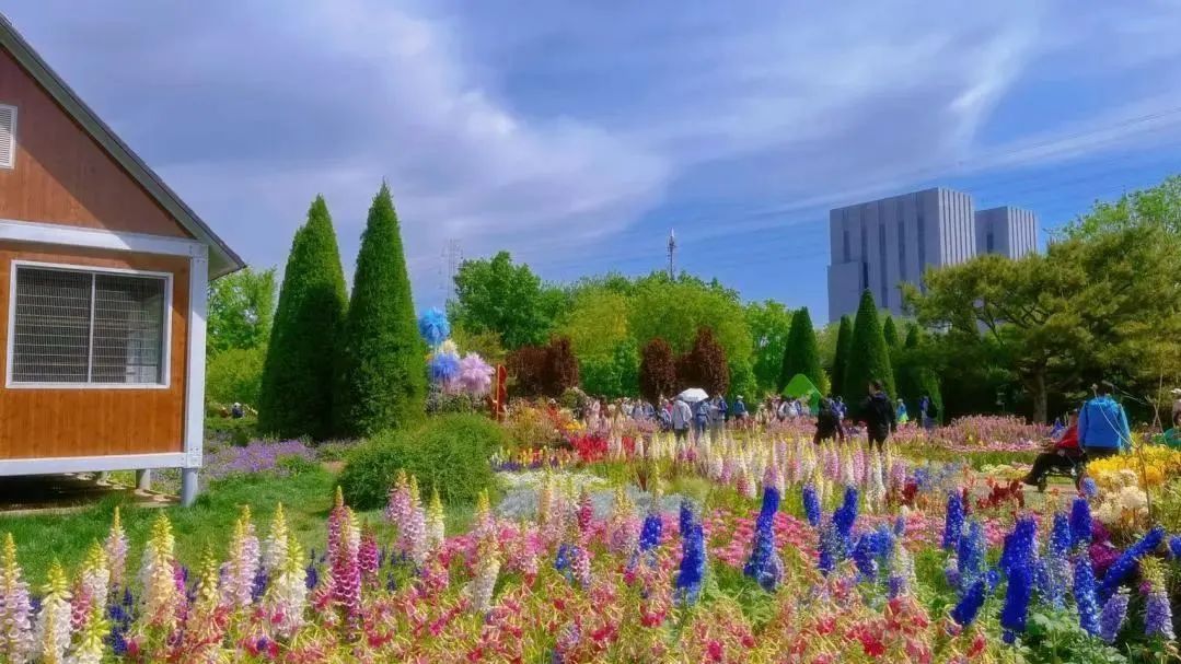 丰台区|赶紧收藏!五一嗨玩丰台不完全指南(第一波) 丰台区|赶紧收藏!五一嗨玩丰台不完全指南(第一波)