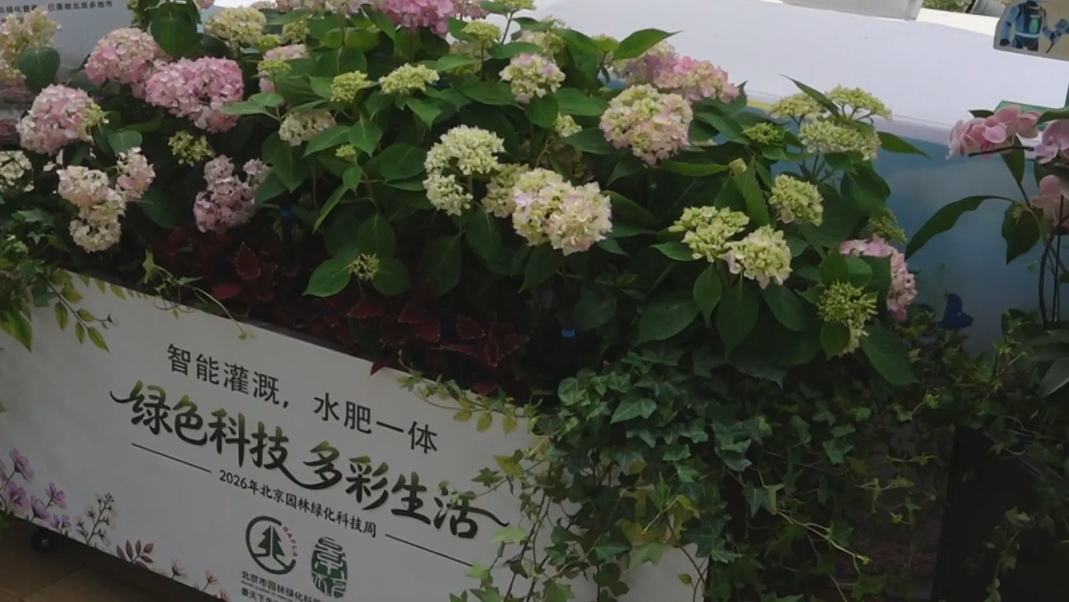 2026年北京园林绿化科技周举办 200余项科技新成果助力花园城市建设 2026年北京园林绿化科技周举办 200余项科技新成果助力花园城市建设