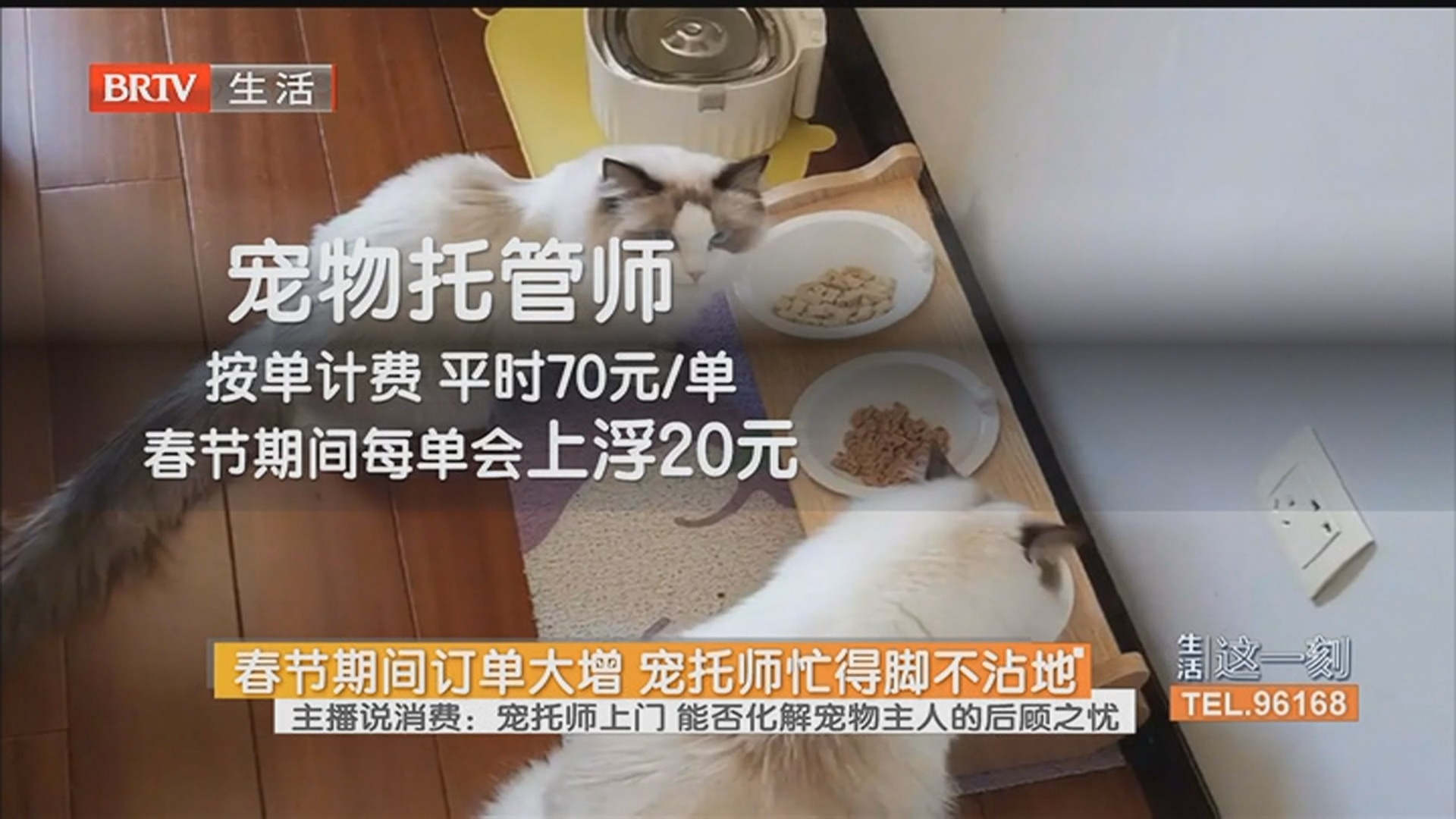 《生活这一刻》20260219 《生活这一刻》20260219