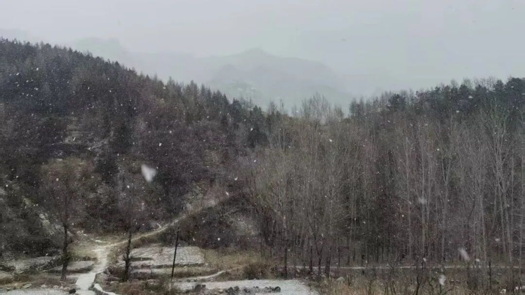 怀柔的雪,来了!!! 怀柔的雪,来了!!!