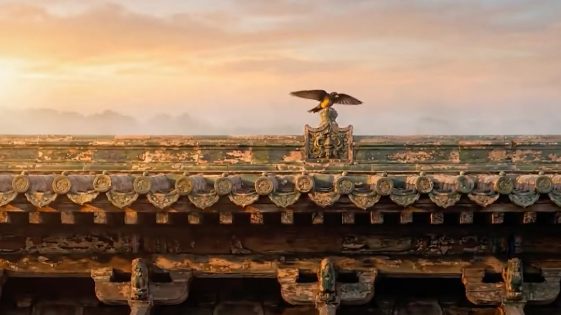北影节雨燕宣传片逐帧细品 北影节雨燕宣传片逐帧细品