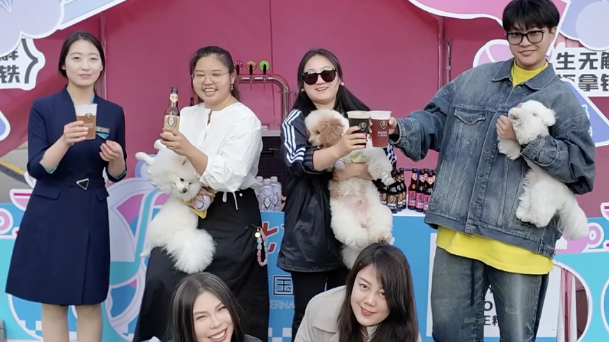邀请全城猫猫狗狗来一场露天电影