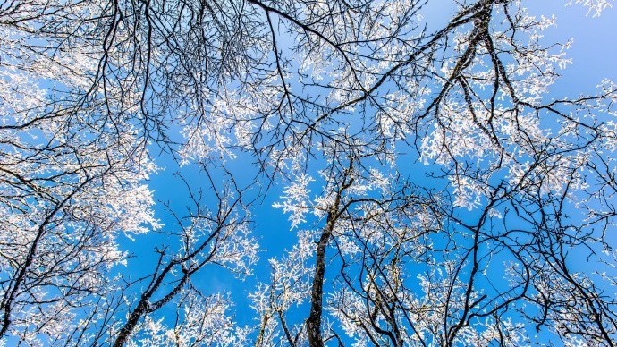 北京天气晴间多云 最高气温6℃ 本周将迎来三九降温