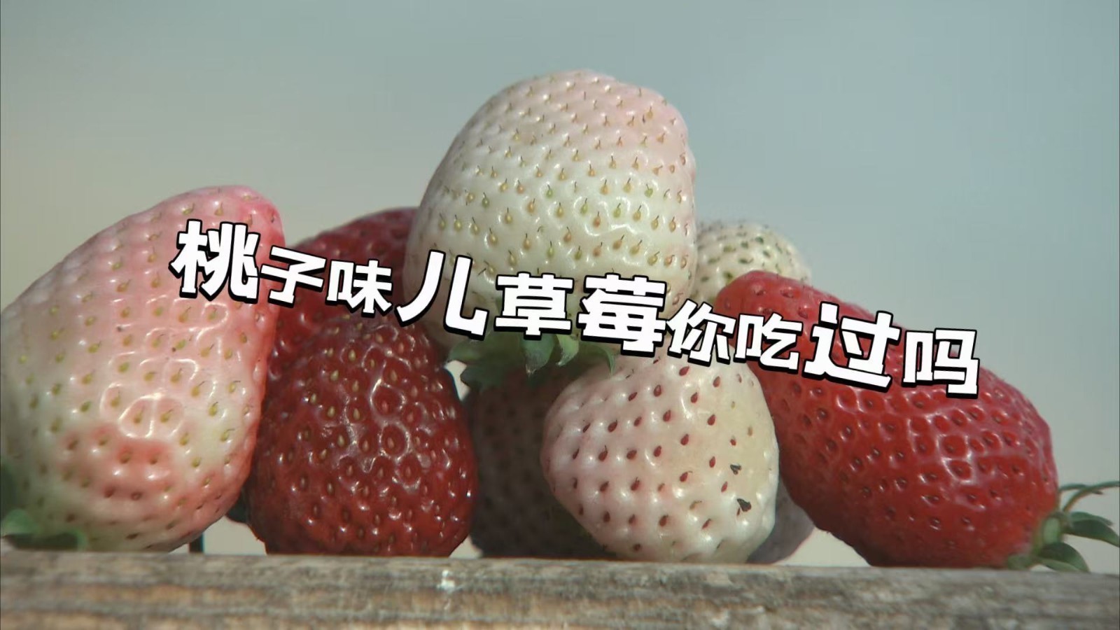 桃子味儿的草莓你吃过吗 桃子味儿的草莓你吃过吗