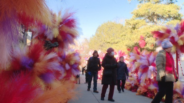 日游园夜赏灯！北京公园玩出新花样 新春游园会氛围感拉满