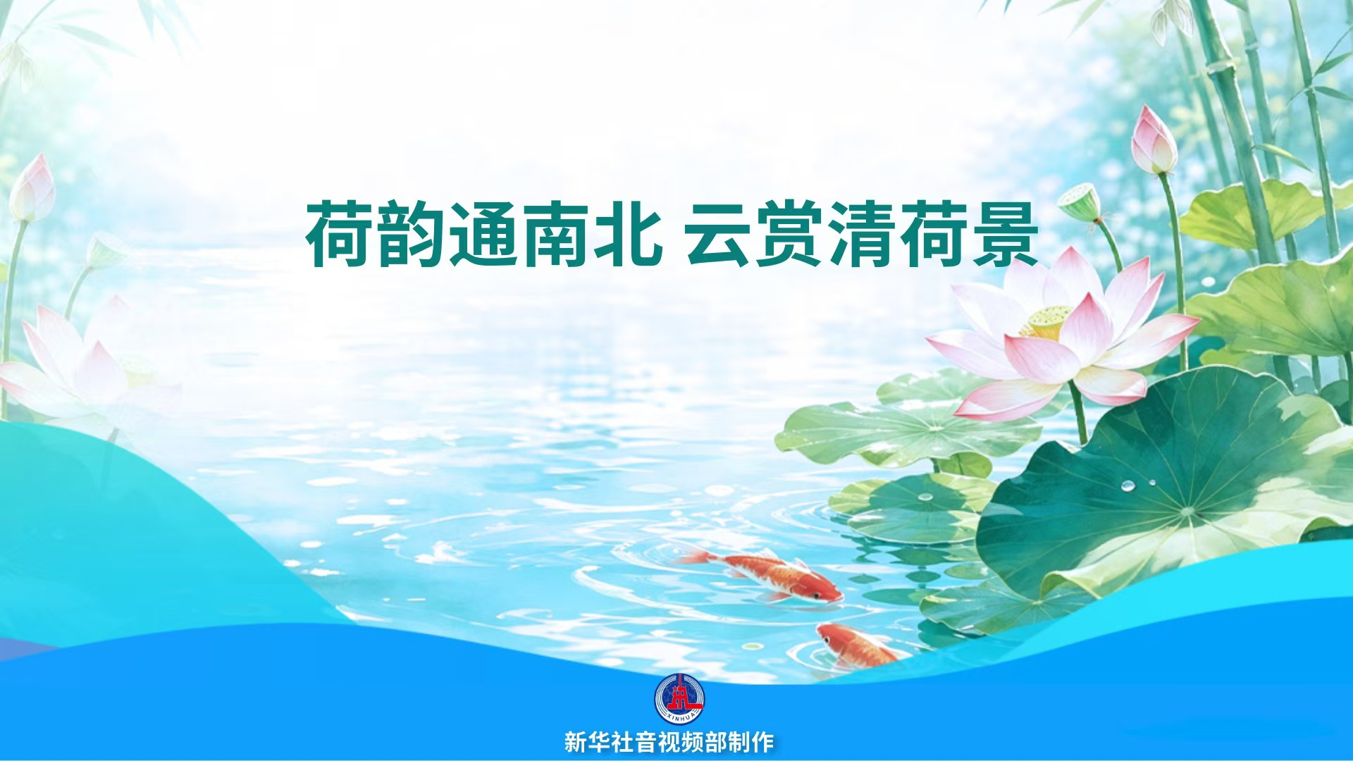 荷韵通南北 云赏清荷景