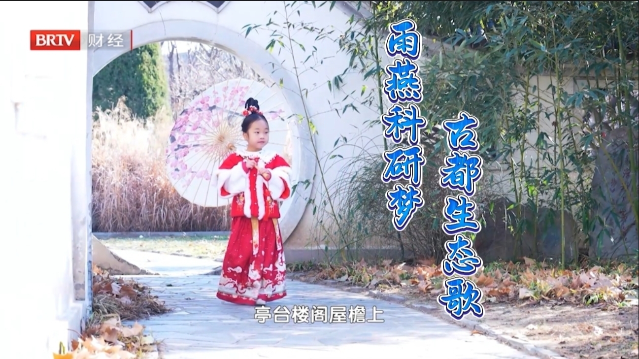 《北京雨燕》MV：雨燕科研梦 古都生态歌