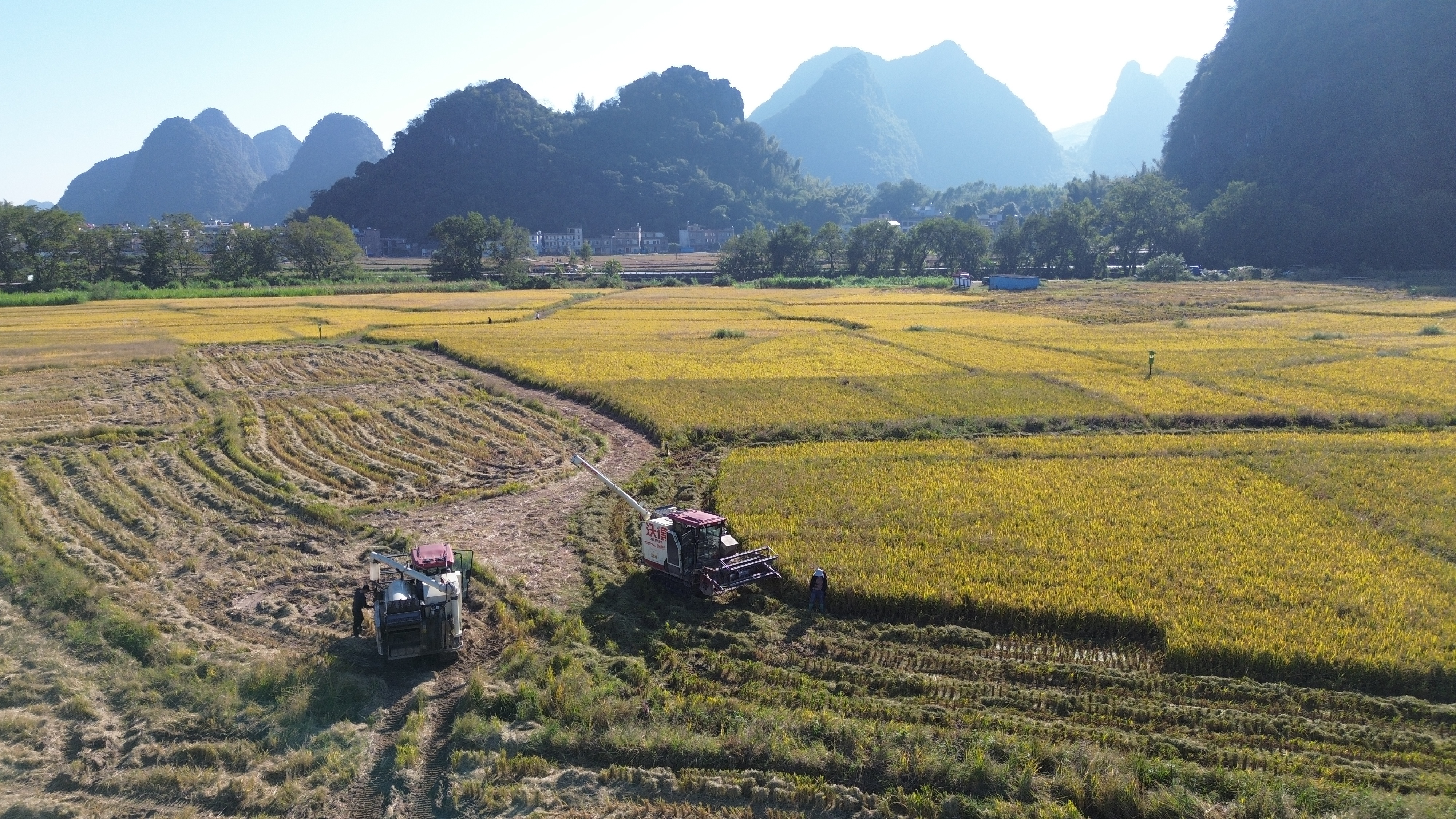 四中全会精神解读·市场最前沿|驶向丘陵山区！国产农机焕新启程