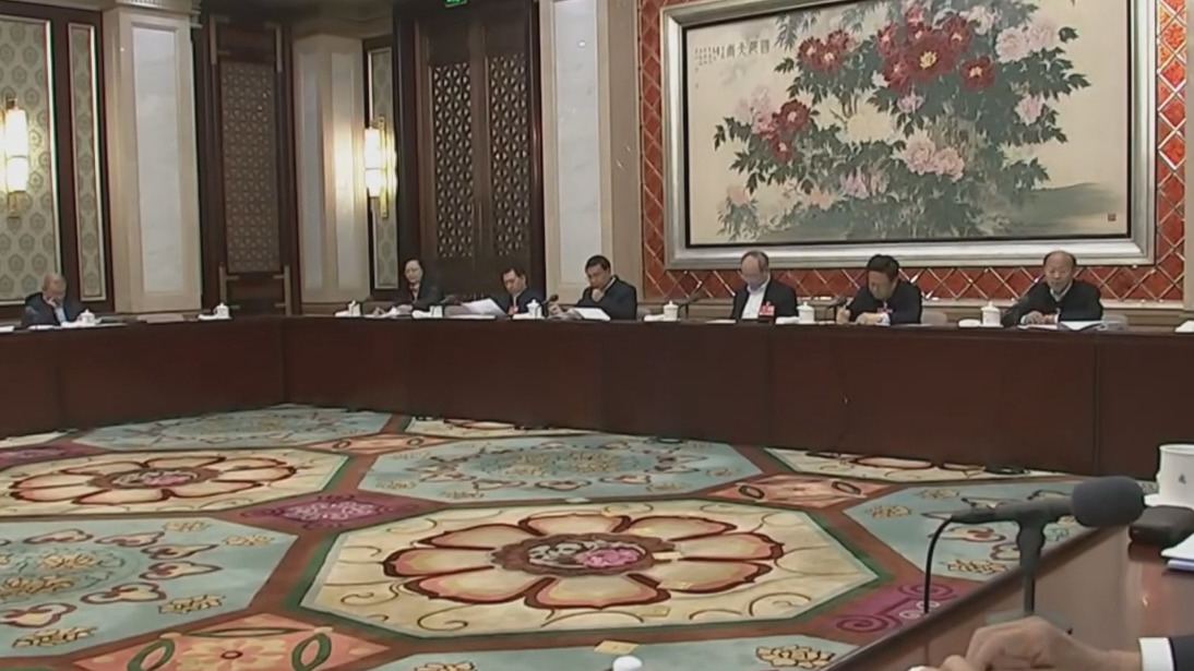 北京市代表团召开代表小组会议 审查计划报告和预算报告