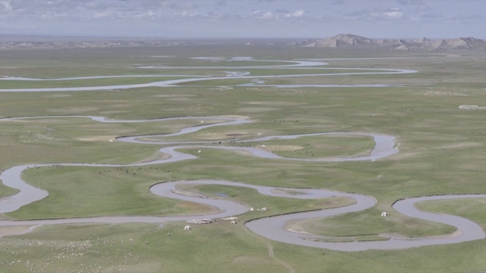 新疆巴音布鲁克草原:青草渐黄牛羊肥 新疆巴音布鲁克草原:青草渐黄牛羊肥