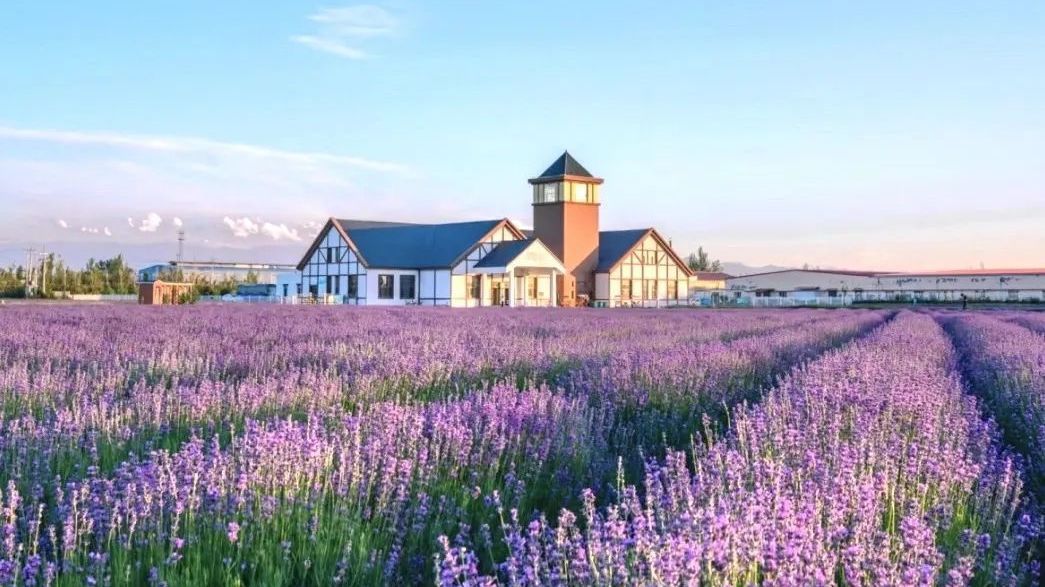 6月必去!一路都是屏保级风景,伊犁北疆即将进入颜值巅峰期~ 6月必去!一路都是屏保级风景,伊犁北疆即将进入颜值巅峰期~