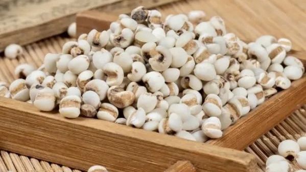 食养课堂|薏米:厨房中的祛湿利器,但需警惕使用误区! 食养课堂|薏米:厨房中的祛湿利器,但需警惕使用误区!