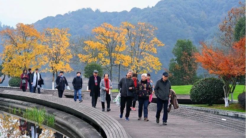 银发族“接棒”旅游主力,市场各方积极丰富适老服务 银发族“接棒”旅游主力,市场各方积极丰富适老服务
