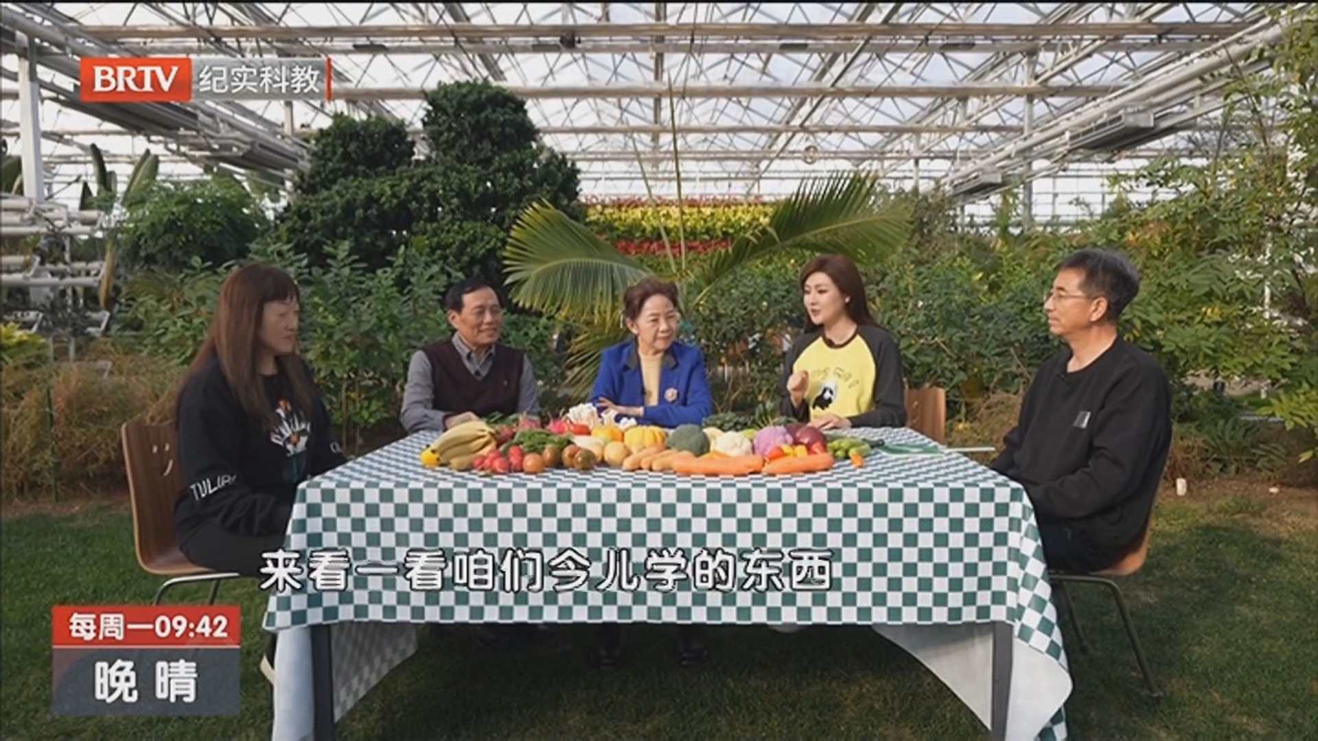 《晚晴》20260316田园慧生活