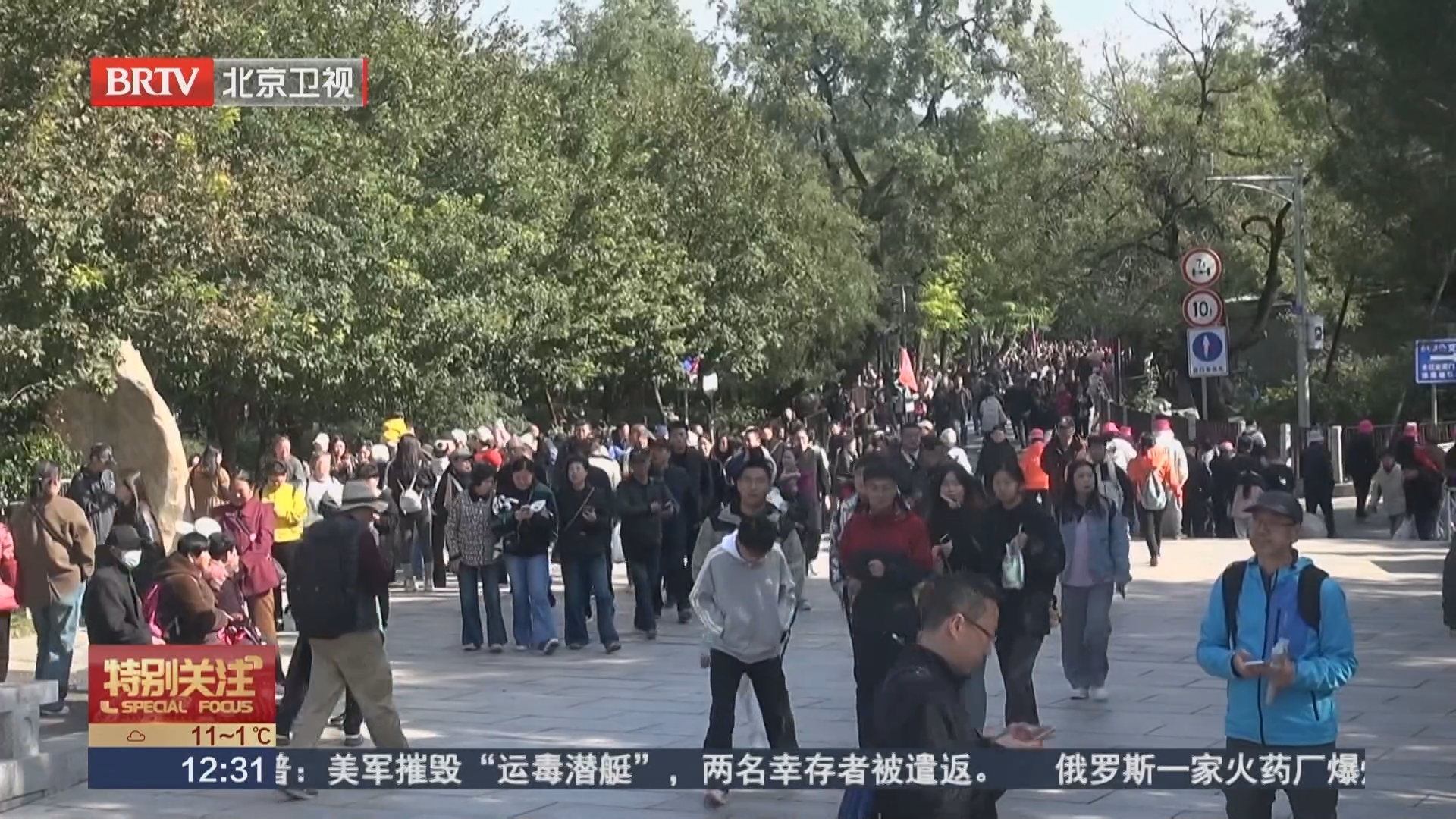 香山红叶迎观赏高峰 周边车流量增多