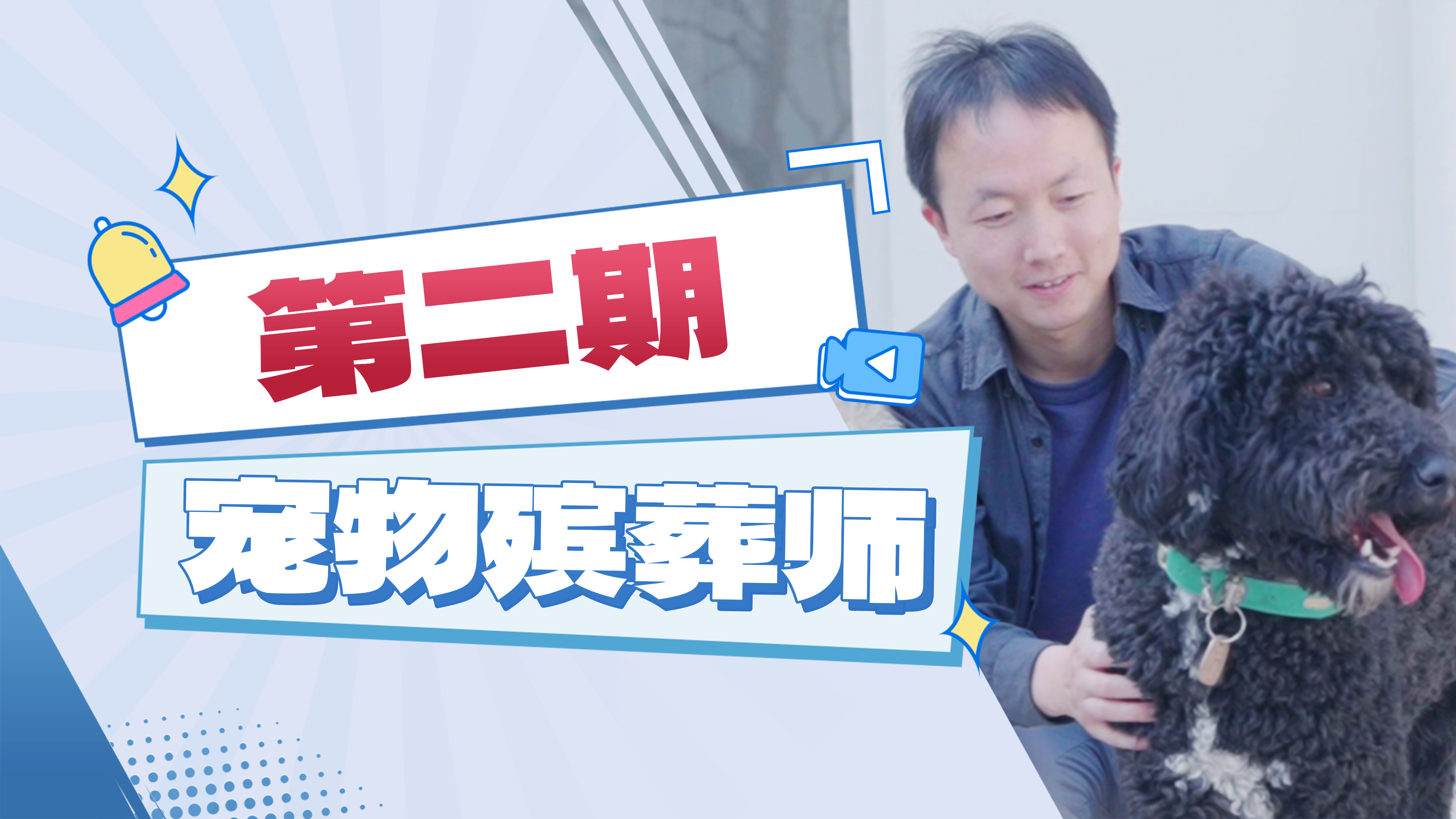 96年北漂“猫奴”裸辞做宠物殡葬师：守护爱宠尊严，给主人以慰藉