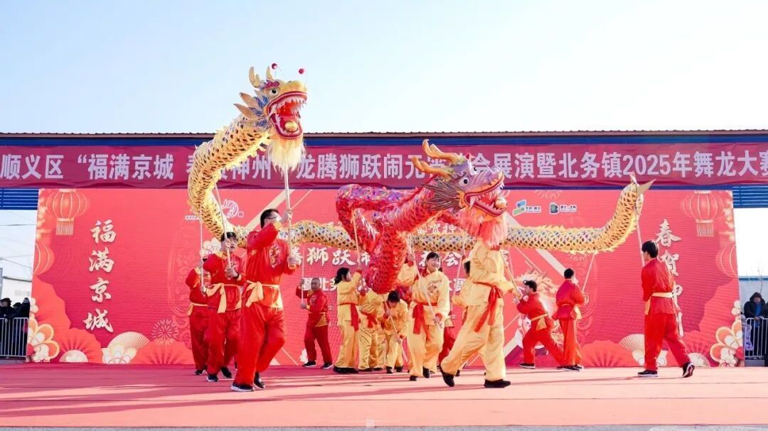 一条“龙”，舞出的文化传承路——