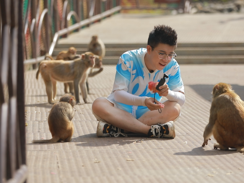 在欢乐猕猴谷体验做猕猴饲养员吧