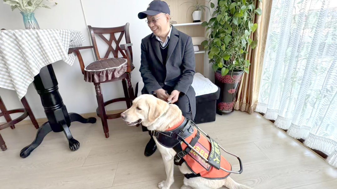 北京经开区首只导盲犬糖豆来了！