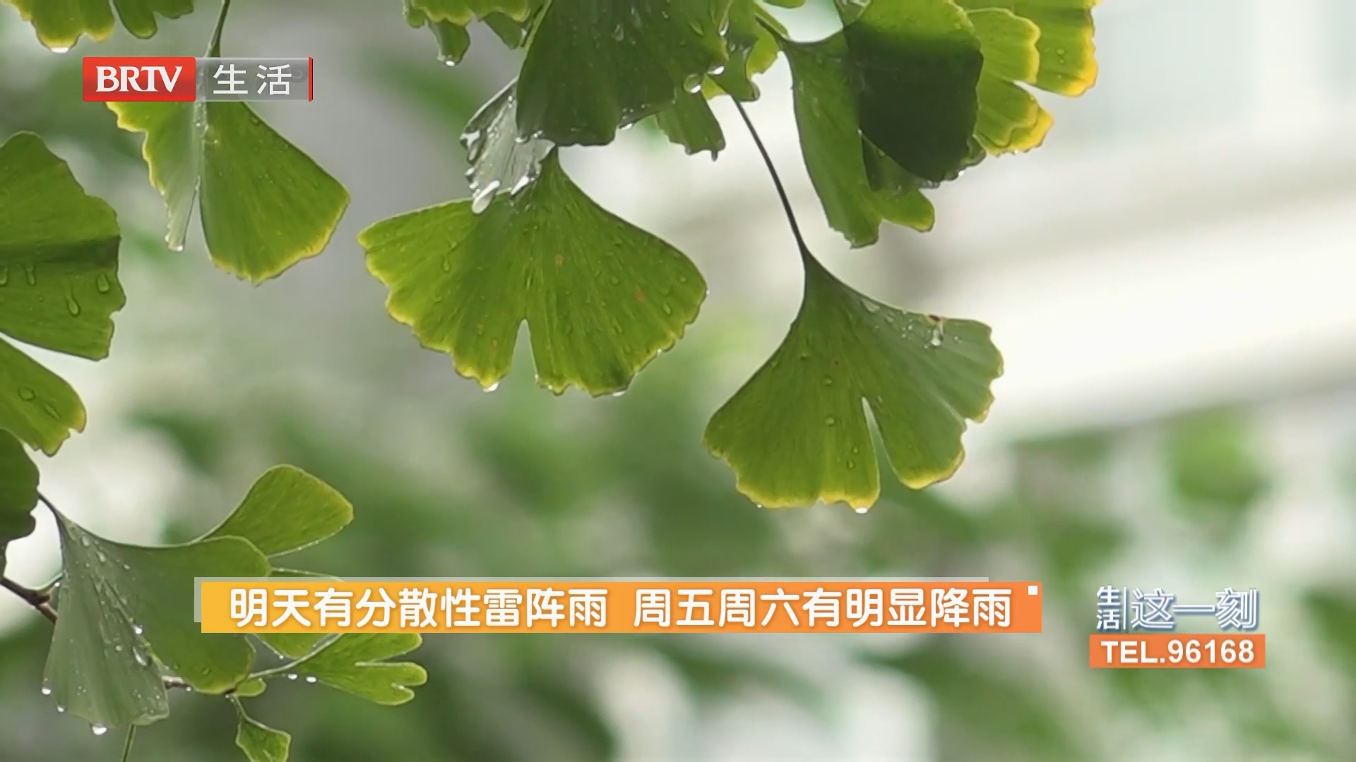 《生活这一刻》20260817 《生活这一刻》20260817
