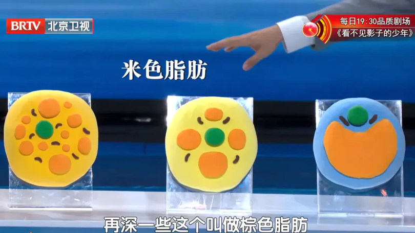 您知道吗？脂肪也分好坏。